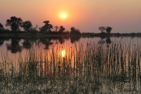 Африканские зарисовки **