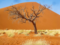 Африканские зарисовки