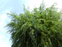 падает на нас