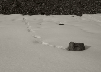 О том, как ходят Камни