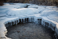 Ледяные оковы