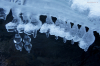 башмачки для Золушек