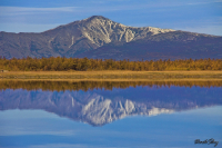 Воспоминания о осени