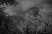 Зимняя сказка