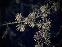 Простой узор блаженства бытия...