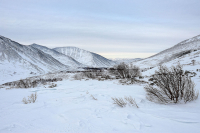 Зимняя зарисовка