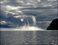 Выкрутасы острова Завъялова