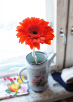 Скромность - залог успеха