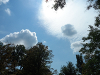 Улететь высоко в ЛЕТО