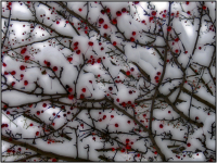 Первый снег