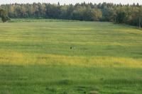 ..заблудились..