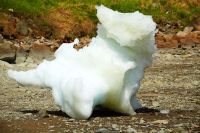 Ледяные скульптуры. Собака.