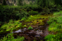 параллельные миры