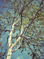 Где же лето?