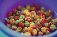 Первая "добыча"