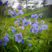 Солнце внури них!