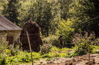 Деревенские прогулки