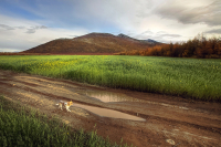 ветер в харю,а я шпарю...