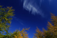 Осенние зарисовки.