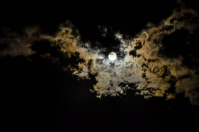 Апокалипсис....