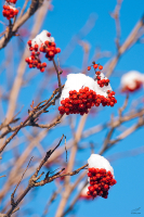 Зимние зарисовки.