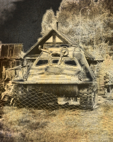 Сумрачный гений