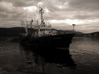 Пик Надежды