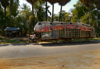 про маленького, но гордого...