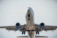 Дикий споттинг 2016