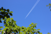 Гражданский