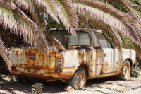 мафынки с отпуска