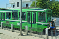 "заяц" на трамвае