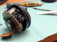 Оторвали мишке лапу..