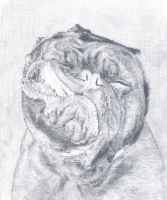 карандашный пёс