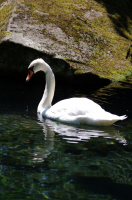 Одиночество