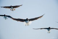 Штурмовая группа =)