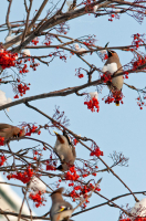 обеденный перерыв в парке...