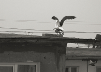 Про любовь...