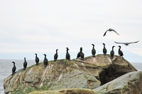 пОсидим, поОкаем...