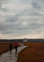 По дороге к вере