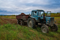 сбор урожая