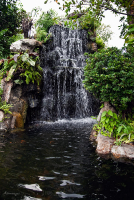 Ландшафтный дизайн