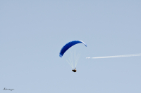 одним курсом....