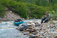 Сеймканская одиссея