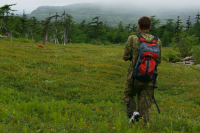 В фотопогоне за лисицей