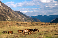 Долина Катуни