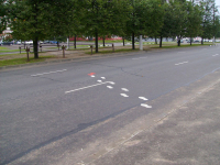 Перешел кто-то дорогу