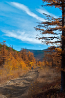 Только в этой игре, незаметная роль выпадает тебе…