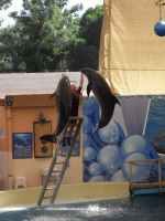 Аквапарк Troy Турция