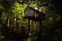 Таёжные сказки Булуна